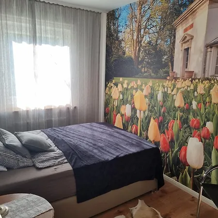 Apartamento Stadtnahe Mit Kl.balkon Und Parkplatz